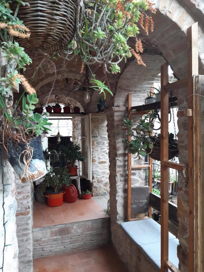 Locanda Del Capo Capannori Exteriör bild