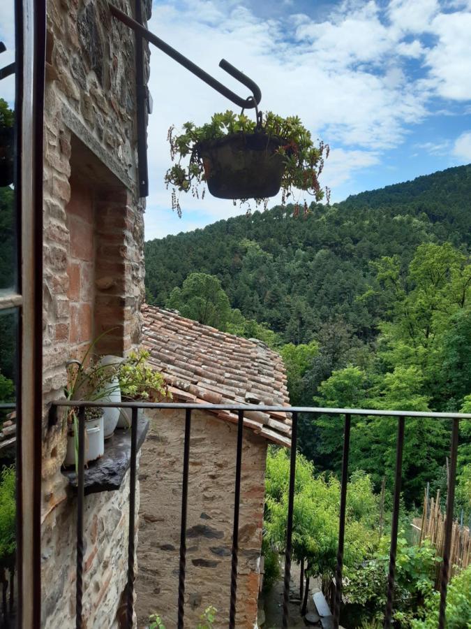 Locanda Del Capo Capannori Exteriör bild